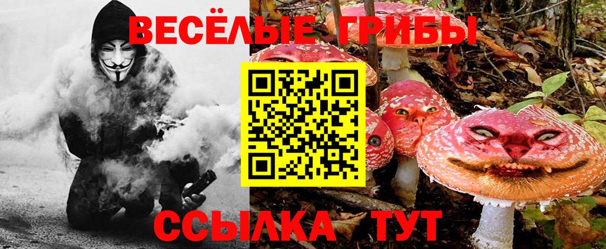 что такое   Галлюциногенные грибы ЛСД  Вход с VPN  Избербаш 