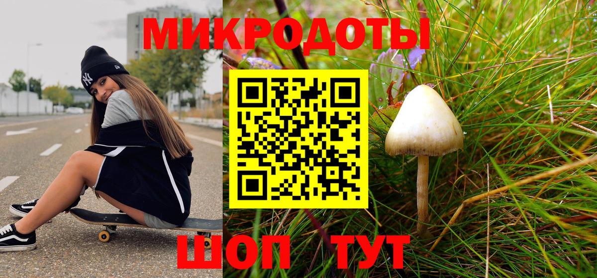 Псилоцибиновые грибы мицелий Избербаш